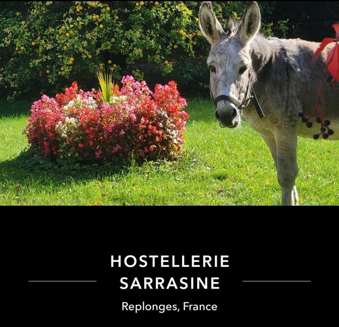 Hostellerie Sarrasine - Macon Est Replonges Luaran gambar