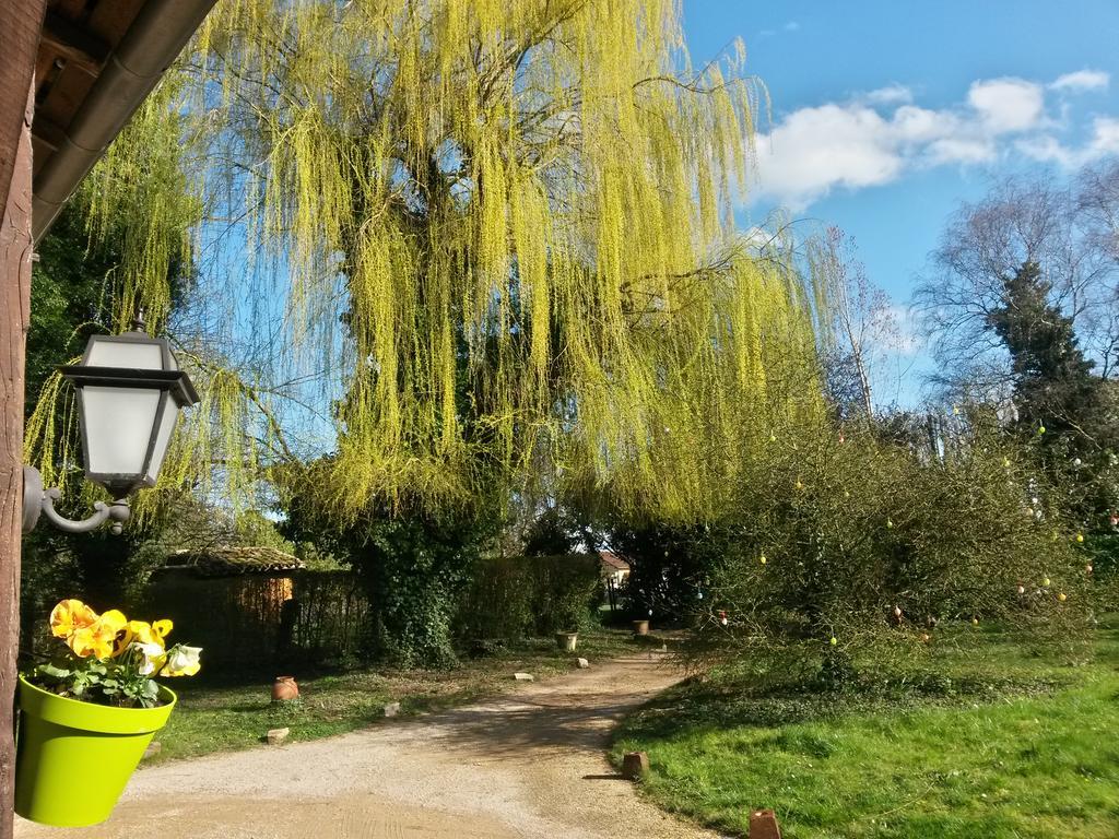 Hostellerie Sarrasine - Macon Est Replonges Luaran gambar